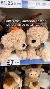 Love this new in #cavapoo #easter range at Tesco