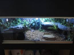 Double Decker Ball Python Enclosure Monsterfishkeepers Com Ball Python Snake Enclosure Pet Snake