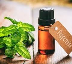 De L Huile Essentielle De Menthe Poivree Pour Soulager Quelles Douleurs En 2020 Menthe Poivree The A La Menthe Huile Essentielle De Menthe