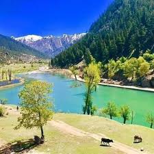 د نورستان په مرکز پارون کې په سلګونو کسانو نن د پنجشبنې(د لړم ۱۵مه) په سهار د کابل پر پوهنتون د شوي وسله وال برید پر خلاف لاریون وکړ. Ú©Ù†Ø± Ø§Ùˆ Ù†ÙˆØ±Ø³ØªØ§Ù† Ú©Ù†Ø± Ø§Ùˆ Ù†ÙˆØ±Ø³ØªØ§Ù† Updated Their Profile Facebook