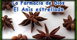 Anis Estrellado Para Los Gases Del Bebe Te Anis De Estrella Para Que Sirve Anis De Estrella Para Que Sirve El Anis Es Youtube Place Card Holders Card Holder