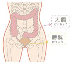 てとて整体院（tetote）