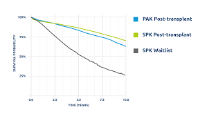 Similar Survival Rates For Pak And Spk Transplants Unos