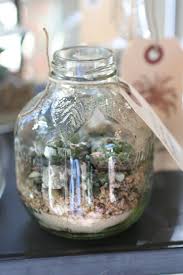 Mini Terrarium In An Old Apple Juice Bottle Great Idea Mini Terrarium Terrarium Plants Mini Garden