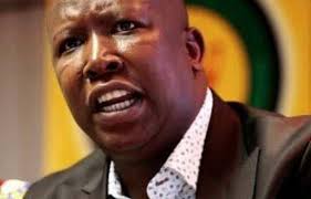 Julius malema is absolutely against all forms of capitalism and wants a black government to julius sello malema is the head of the eff (economic freedom fighters) he is a red shirt red beret. Is Julius Malema South Africa S President In Waiting The Mail Guardian