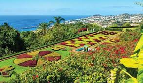 Madeira botanical garden, funchal resim: Funchal Gefuhrte Tuk Tuk Tour Und Botanische Garten Funchal Portugal Getyourguide