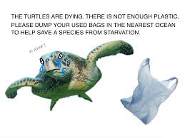 Plastic Turtle Meme My Spirit Animal Dinosaur Stuffed Animal Spirit Animal