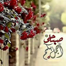 desertrose صباحي بكم أجمل good morning picture morning greeting beautiful morning
