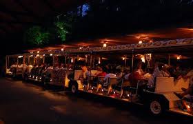 Singapore's night safari allows you to explore the animal kingdom under the light of the stars! Singapore Night Safari Hunt The Night Hunters In A Blackened Forest Holiday In Singapore Singapore Tour Package Singapore Tour