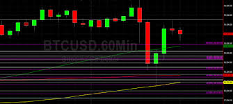 You have the option to change the appearance of the charts by varying the time scale, chart type, zooming in to different. Btc Usd Establishes New All Time High At 19915 14 Sally Ho S Technical Analysis 1 December 2020 Btc Crypto Daily