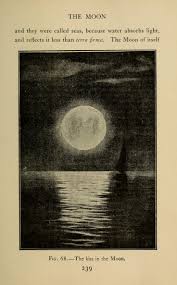 Astronomy For Amateurs Vintage Astronomy Prints Art Collage Wall Picture Collage Wall
