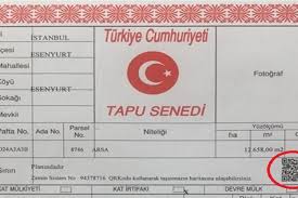 Evin içerisindeki duvarlar, kolonlar, sıva payları, bağımsız bölümün merpen sahanlıkları ve basamakları ile bu. Konut Alirken Evin Tapu Tipine Dikkat Edin Emlaktuel Com