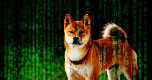 Learn about the dogecoin price, crypto trading and more. Dogecoin Doge Is Now Being Used By Crypto Hackers After Tiktok Boom