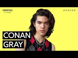 Heather By Conan Gray Songfacts