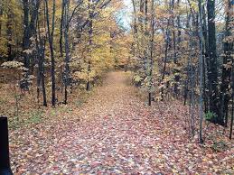 We did not find results for: A Walk In The Woods Picture Of The Woods Of Minden Hills Tripadvisor