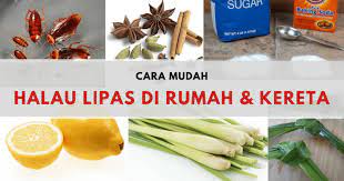 Akhirnya saya berjaya selesaikan masalah lipas dalam kereta dengan cara semudah ini. Lipas Banyak Dekat Rumah Atau Dalam Kereta Atasi Dengan 5 Petua Mudah Dan Murah Ini