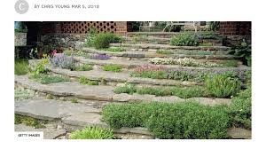 Pin On Go Play In The Yard