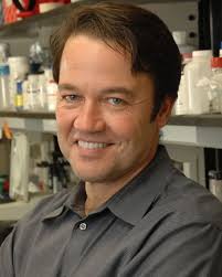 MORE THAN 100 YEARS OF SICKLE CELL DISEASE: DEVELOPMENT OF NOVEL THERAPIES