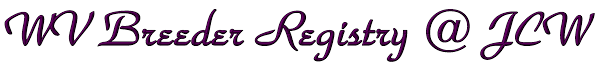 Are you looking for wirehaired vizsla breeders? Wv Breeder Registry Wirehaired Vizsla Breeders California Usa Wirehaired Vizslas Wirehaired Vizsla Puppies Wv Breeder Registry Jayney S Creative Works Jcw