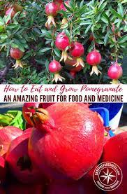 How To Eat And Grow Pomegranate An Amazing Fruit For Food And Medicine When It Comes To Survival Foods You Ll Want To Grow Pomegranate Fruit Edible Garden