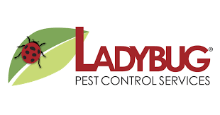 Looking for pest control services in durham region to help you reclaim the comfort, good health and safety of your home or place of business? Ladybug Pest Control Services Quality Pest Control Serving Greater Boston And South Shore Ma