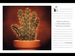 The damp paper towel provides grip and acts as a mitt to catch loose needles. Kimberly Clark Professional Cactus Hand