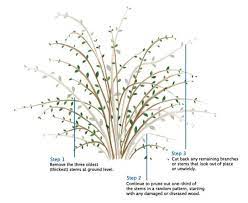 Pin On Gardens And Lanscaping