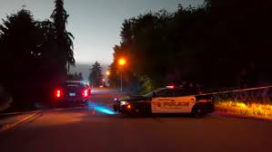 Victim Identified In Fatal Abbotsford Shooting Homicide Investigators Seek Dash Cam Footage Ctv News