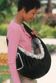 Plante care purifică aerul din locuință sau birou. Pin En Ropa