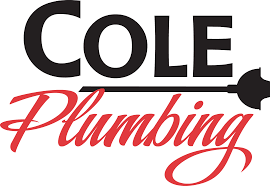 Maybe you would like to learn more about one of these? How Can I Take Care Of The Drains In My Home