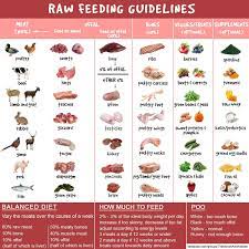 Raw Dog Food Guidance Chart Raw Dog Food Diet Healthy Dog Food Recipes Raw Feeding For Dogs