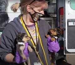 Find and adopt a pet on petfinder today. Humane Society Of Boulder Valley Seeks Homes For 30 Dogs Needing Behavioral Support