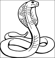 Cobra Snake Coloring Pages For Kids Snake Coloring Pages Coloring Pages Avengers Coloring Pages