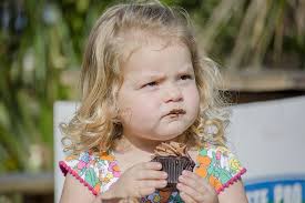 Sarasota Chamber networks