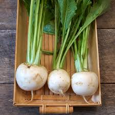 Mildly spicy when raw, turnips turn sweet, nutty, and earthy when cooked. Turnip Seeds Shogoin Vegetable Seeds In Packets Bulk Eden Brothers