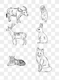 Click on the link color your photos and drawings (in the scrapcoloring menu bar). Animal Drawing Png Images Vector And Psd Files Free Download On Pngtree