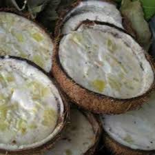 We did not find results for: Samoan Food Not To Miss Dishes Epersianfood