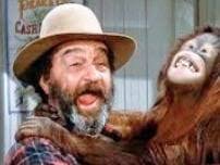 Was Clyde the orangutan in the episode Blanch?