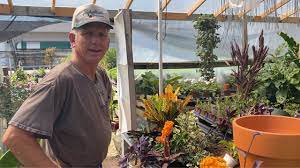 Schaffitzel florist has been proudly serving springfield since 1949. Schaffitzel S Flowers Home Facebook