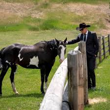 Check spelling or type a new query. Yellowstone Season 3 Premiere Recap Episode 1