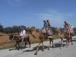 How much will it cost? On A Camel Ride Picture Of Marhaba Salem Sousse Tripadvisor