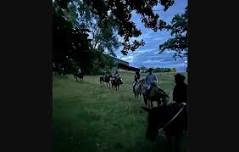 Moonlight Horseback Ride