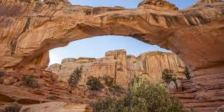 The best vacations zoom you in and out: Best Hikes And Things To Do At Capitol Reef National Park Elen Pradera