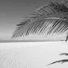 We did not find results for: Pdf The Economic Value Of Beaches A 2013 Update