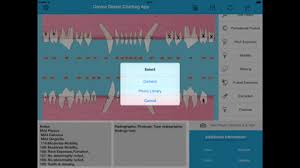 Pet Dental Charting For Veterinarians And Technicians Digital Solution For Dental Charting