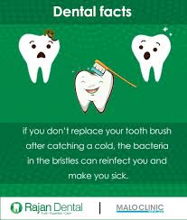 If You Don T Replace Your Tooth Brush After Catching A Cold The Bacteria In The Bristles Can Reinfect You And Make You Sick H Oral Care Root Canal Denta