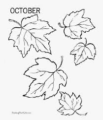Explore 623989 free printable coloring pages for you can use our amazing online tool to color and edit the following tropical leaves coloring pages. Palm Fronds Coloring Pages Fall Leaves Coloring Pages Fall Coloring Pages Leaf Coloring Page