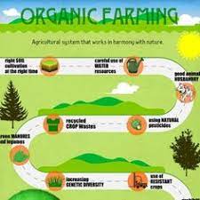 Check out these farm theme activities perfect for preschoolers and kindergartners. 9 School Work Ideas School Work Organic Farming In India Organic Farming