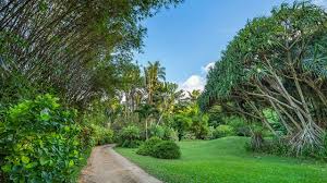 Maybe you would like to learn more about one of these? Actor Craig T Nelson S Hawaii Getaway Mansion Global