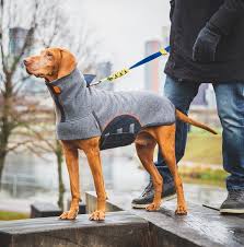 For My Dog On Pinterest En 2020 Chaquetas Para Perros Abrigos Para Perros Sueteres Para Perros